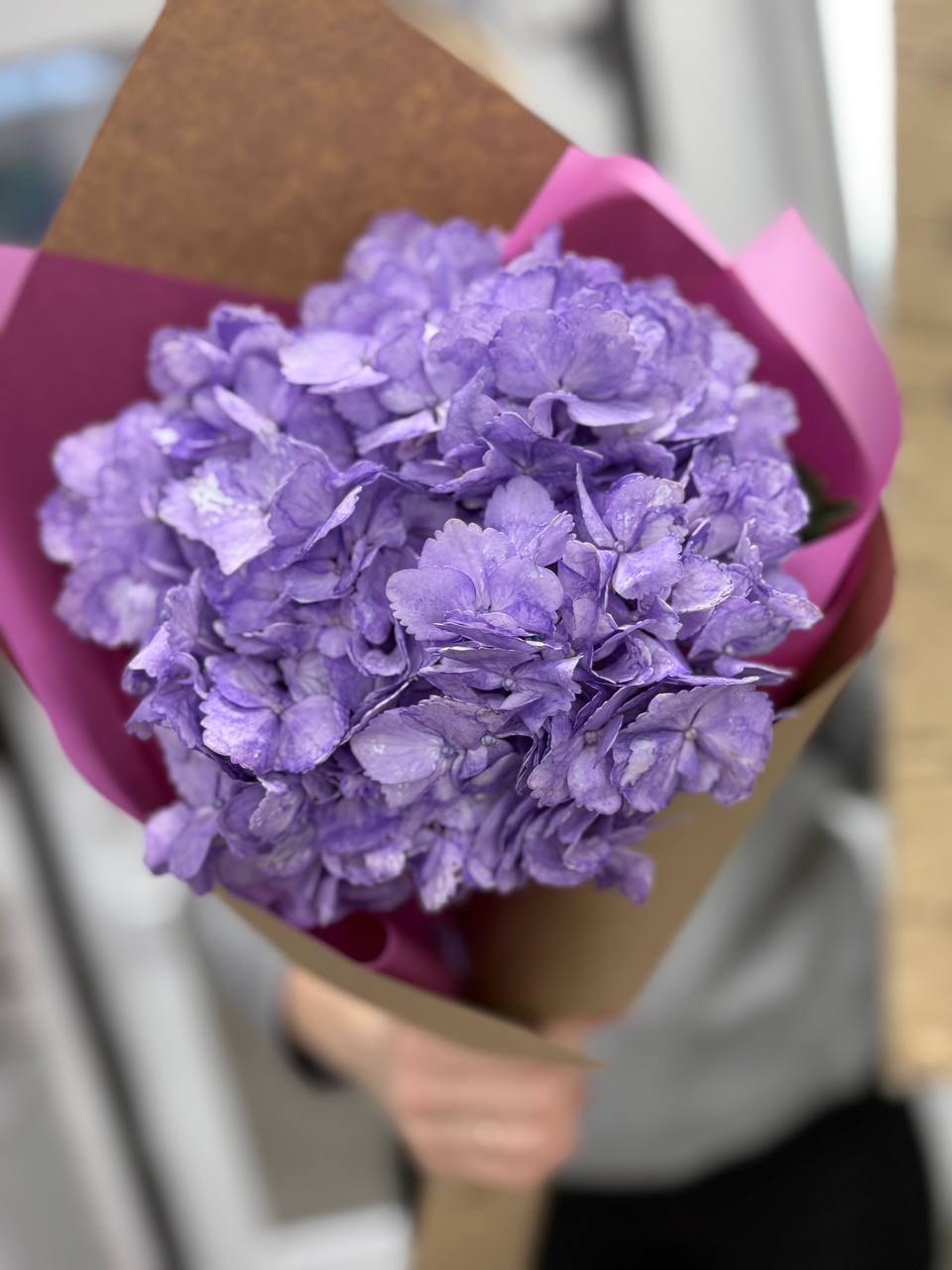 Букет из 1ой гортензии