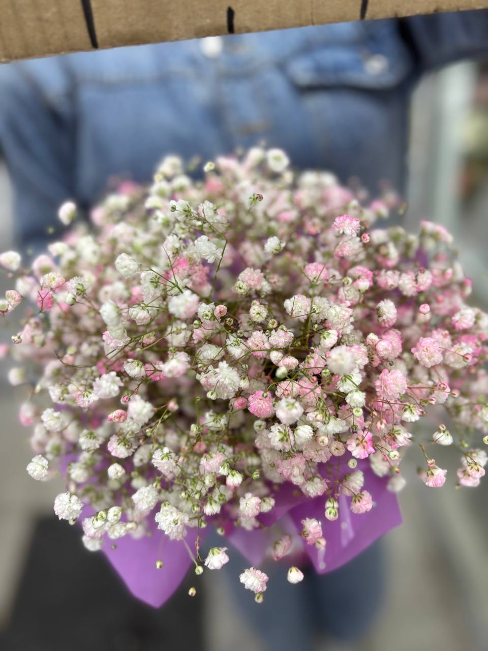 Композиция гипсофил