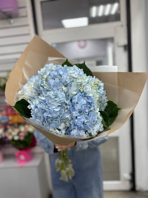 Букет из 5ти гортензий