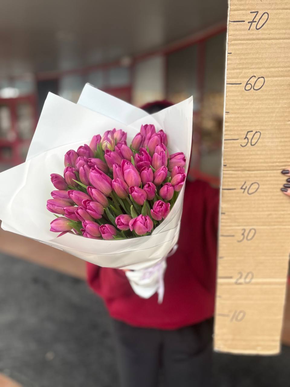 51 тюльпанов