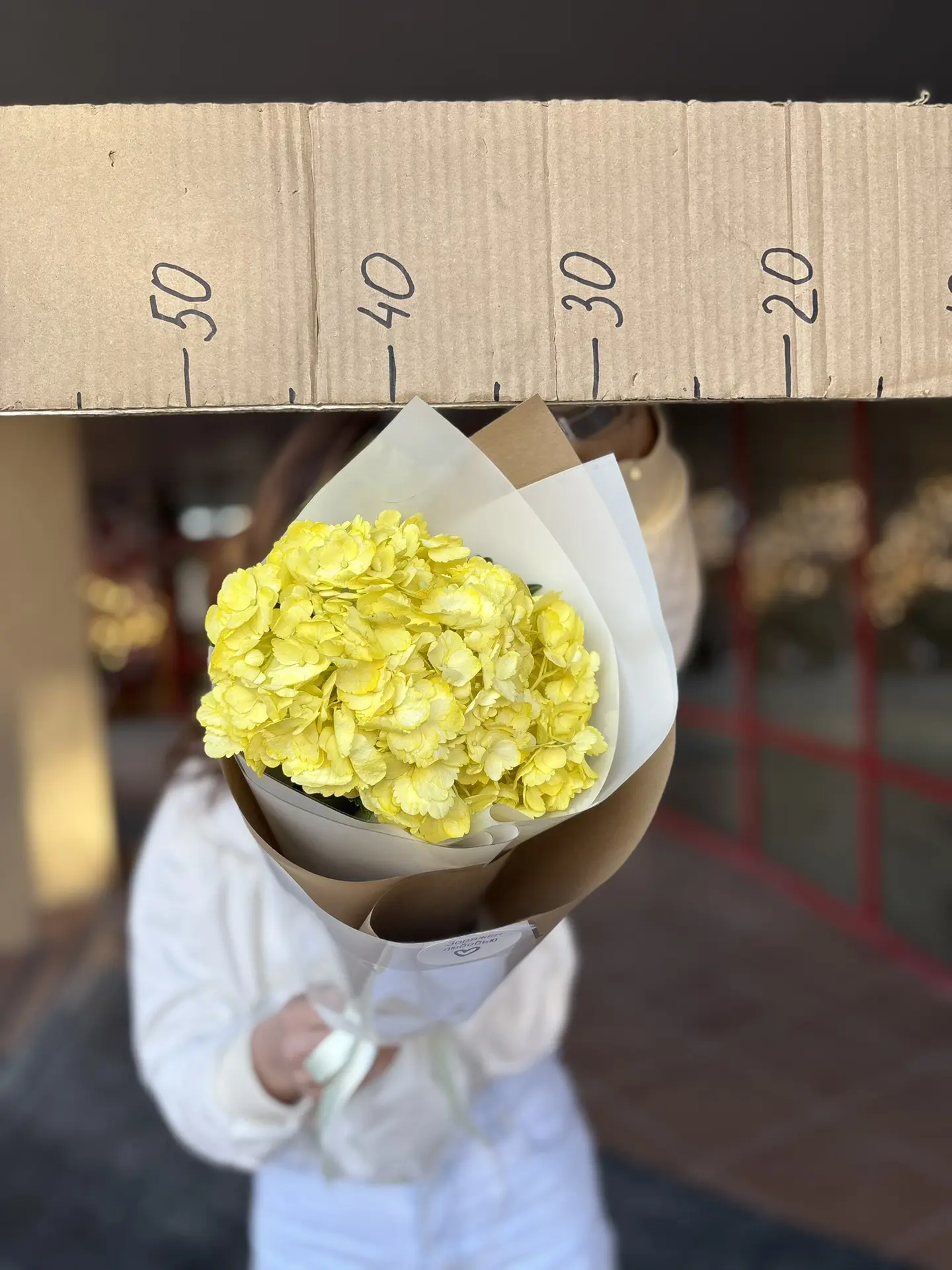 Букет из 1 гортензии