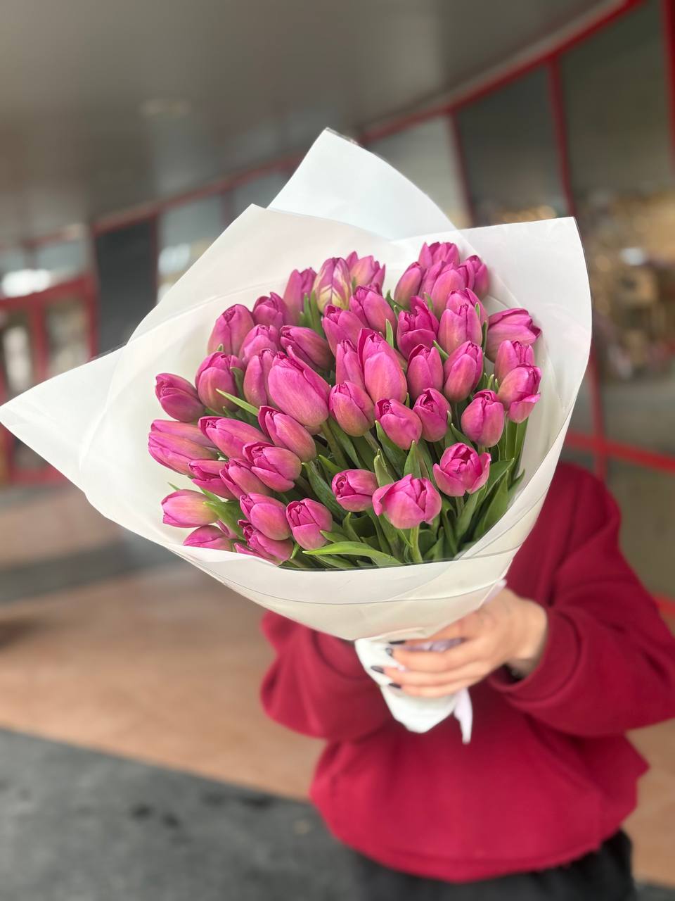 51 тюльпанов