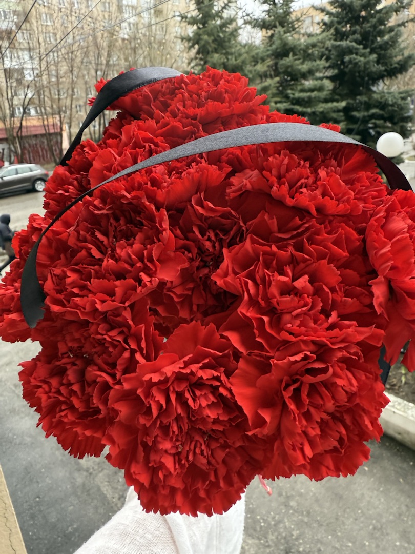 Гвоздика красная 10 шт