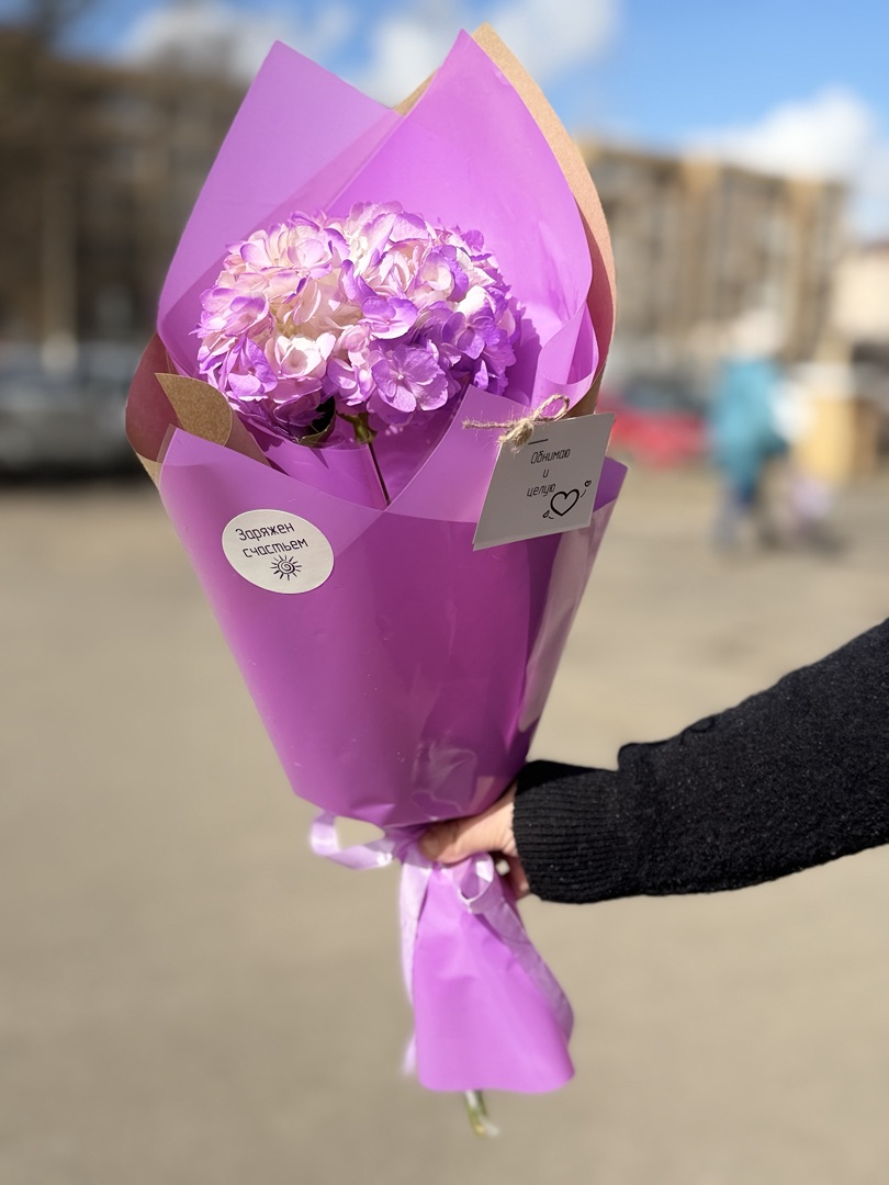 Букет из 1 гортензии