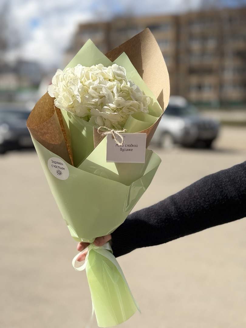 Букет из 1 гортензии