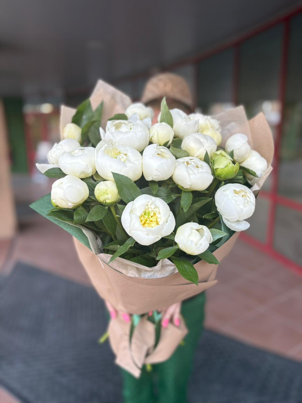 Пионы 21 шт