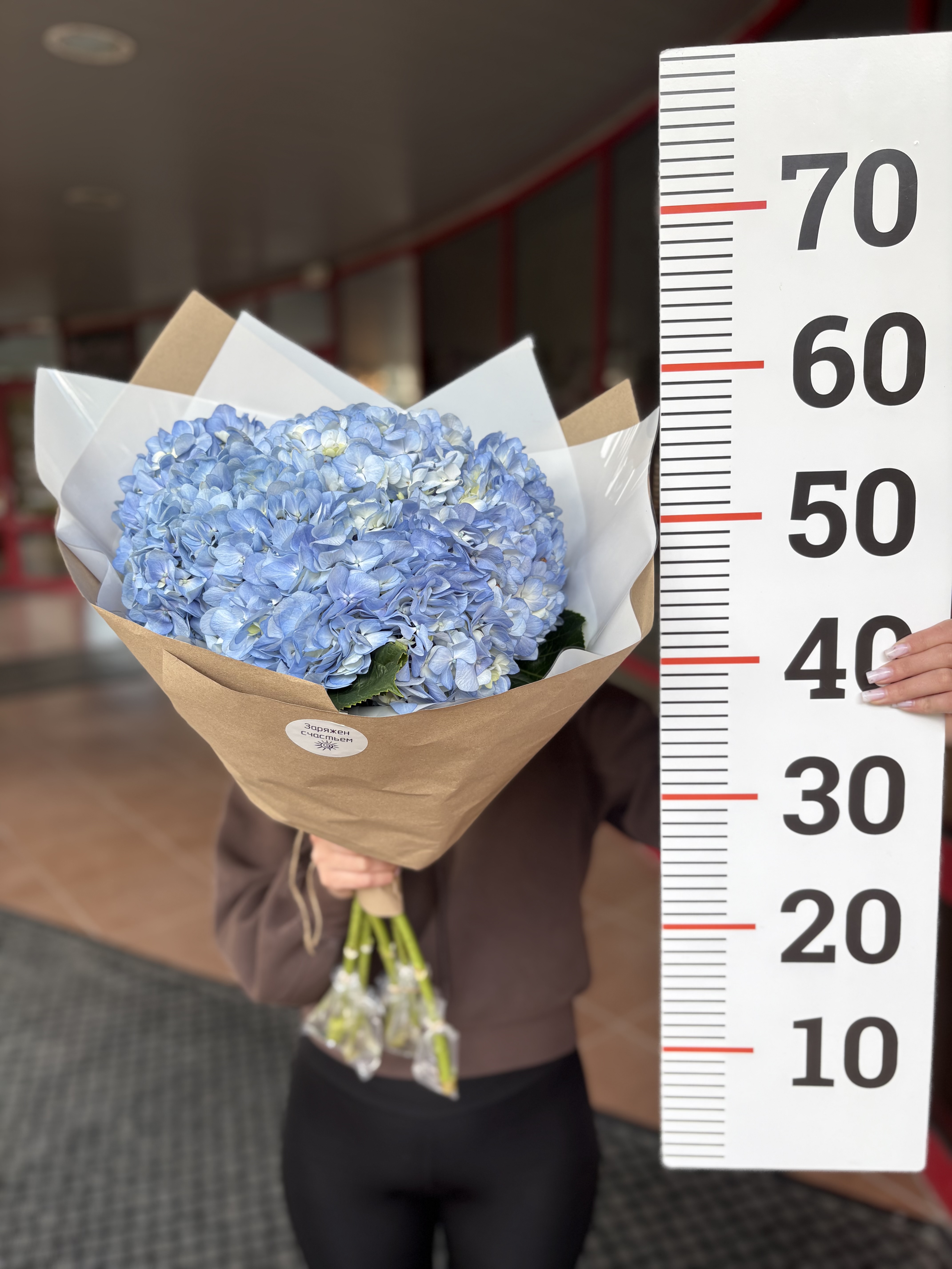 Букет из 5ти гортензий