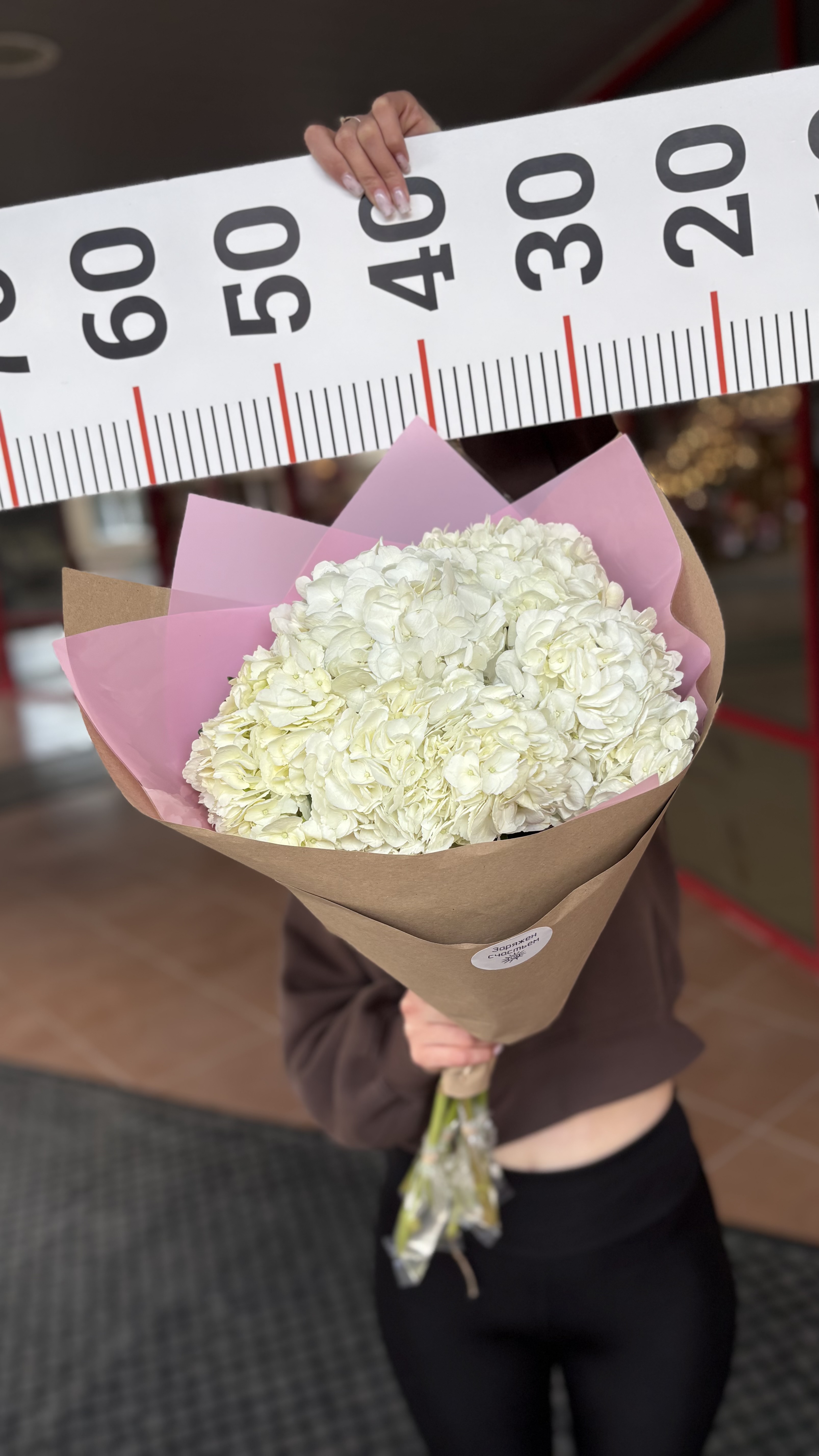 Букет из 5ти гортензий