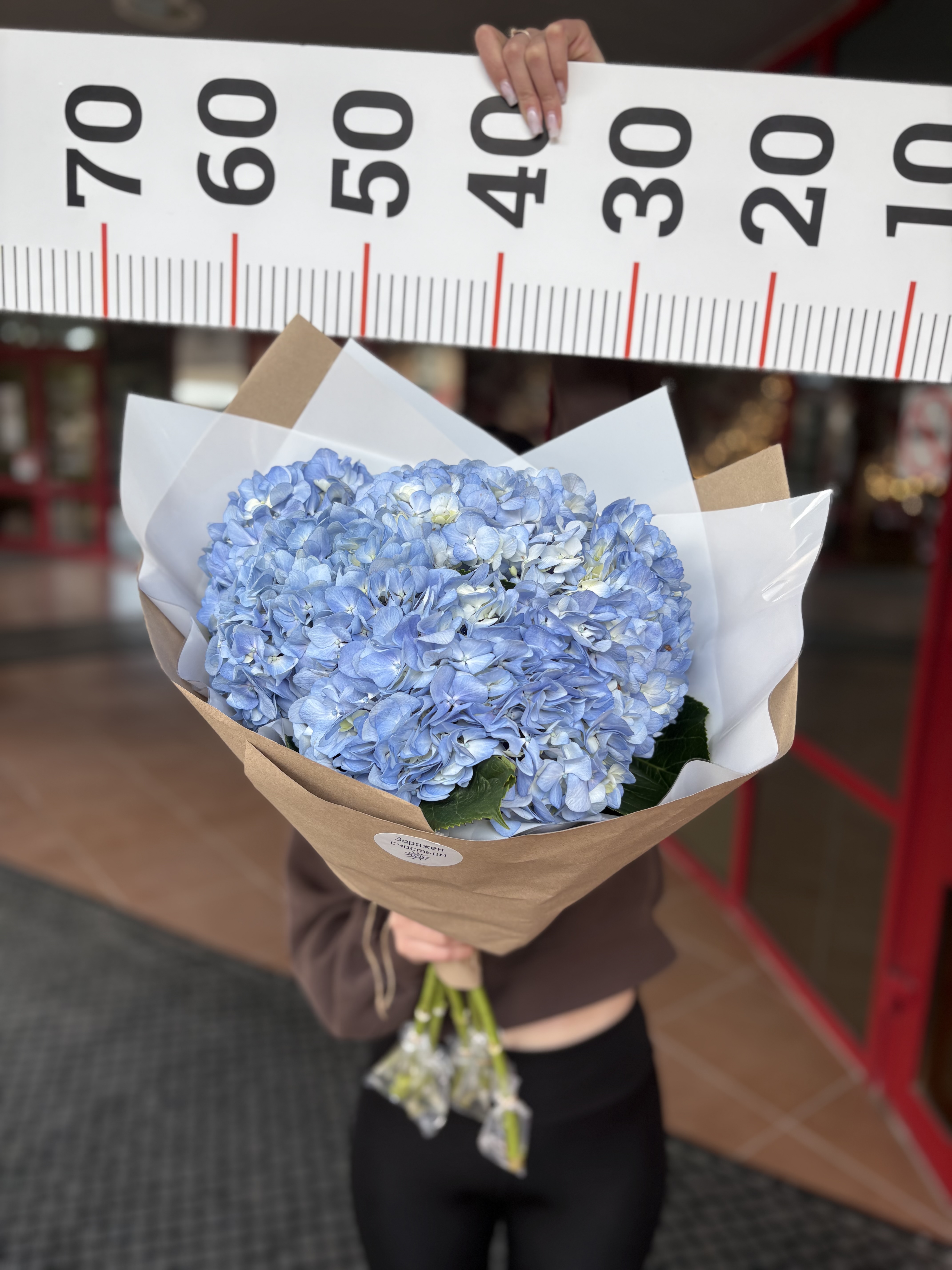 Букет из 5ти гортензий