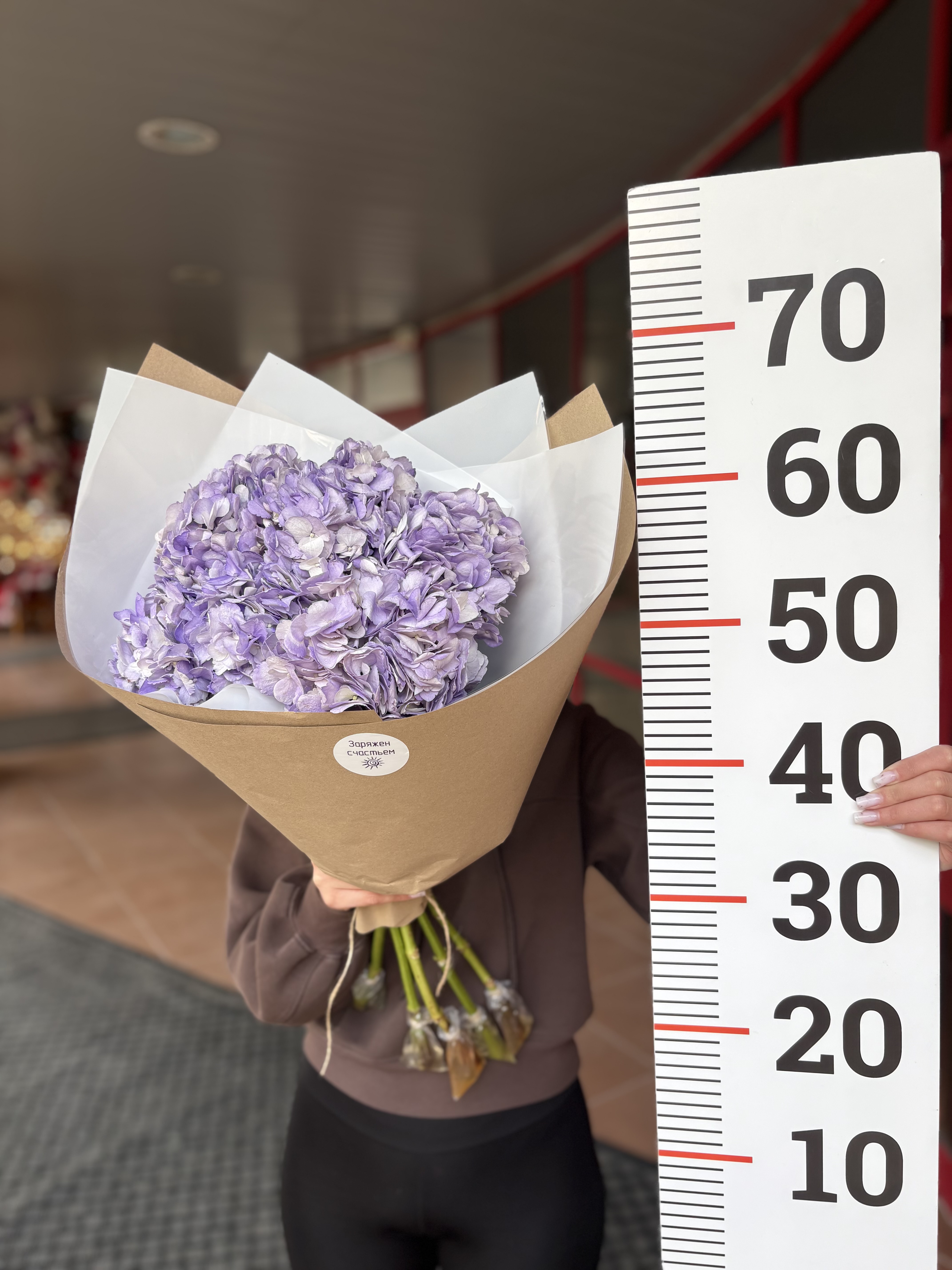Букет из 5и гортензий