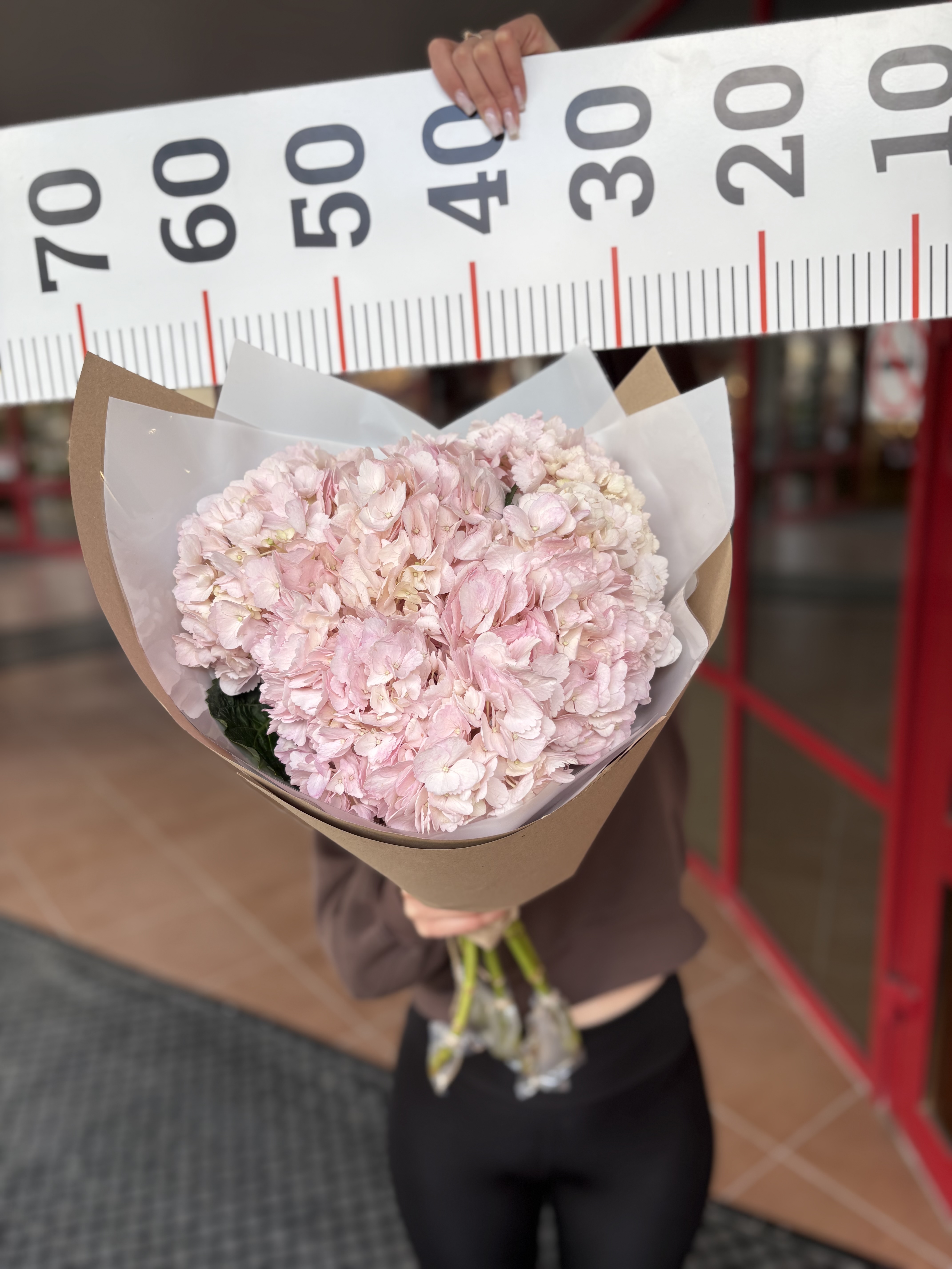 Букет из 5ти гортензий