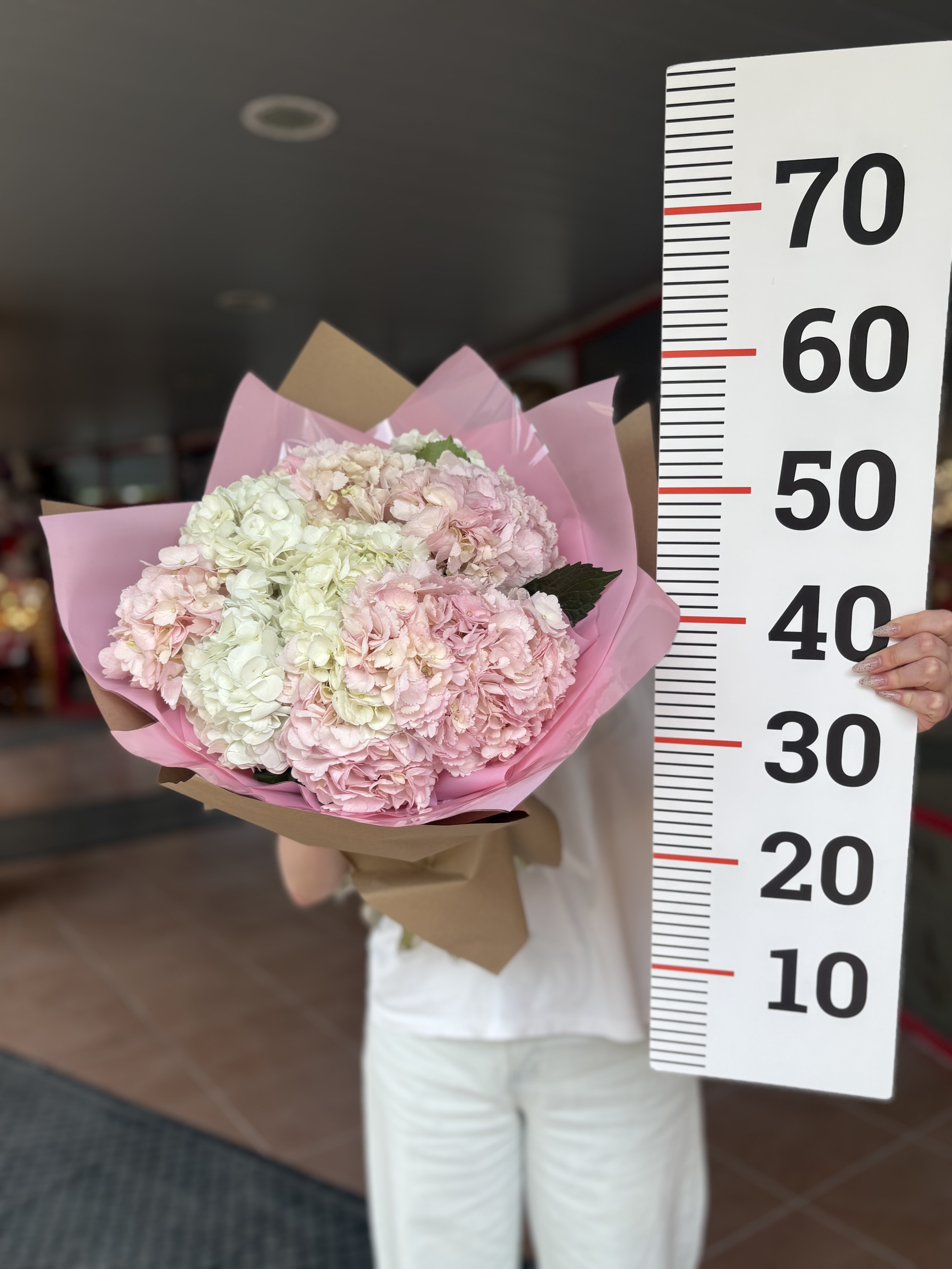 Букет из 9 гортензий микс