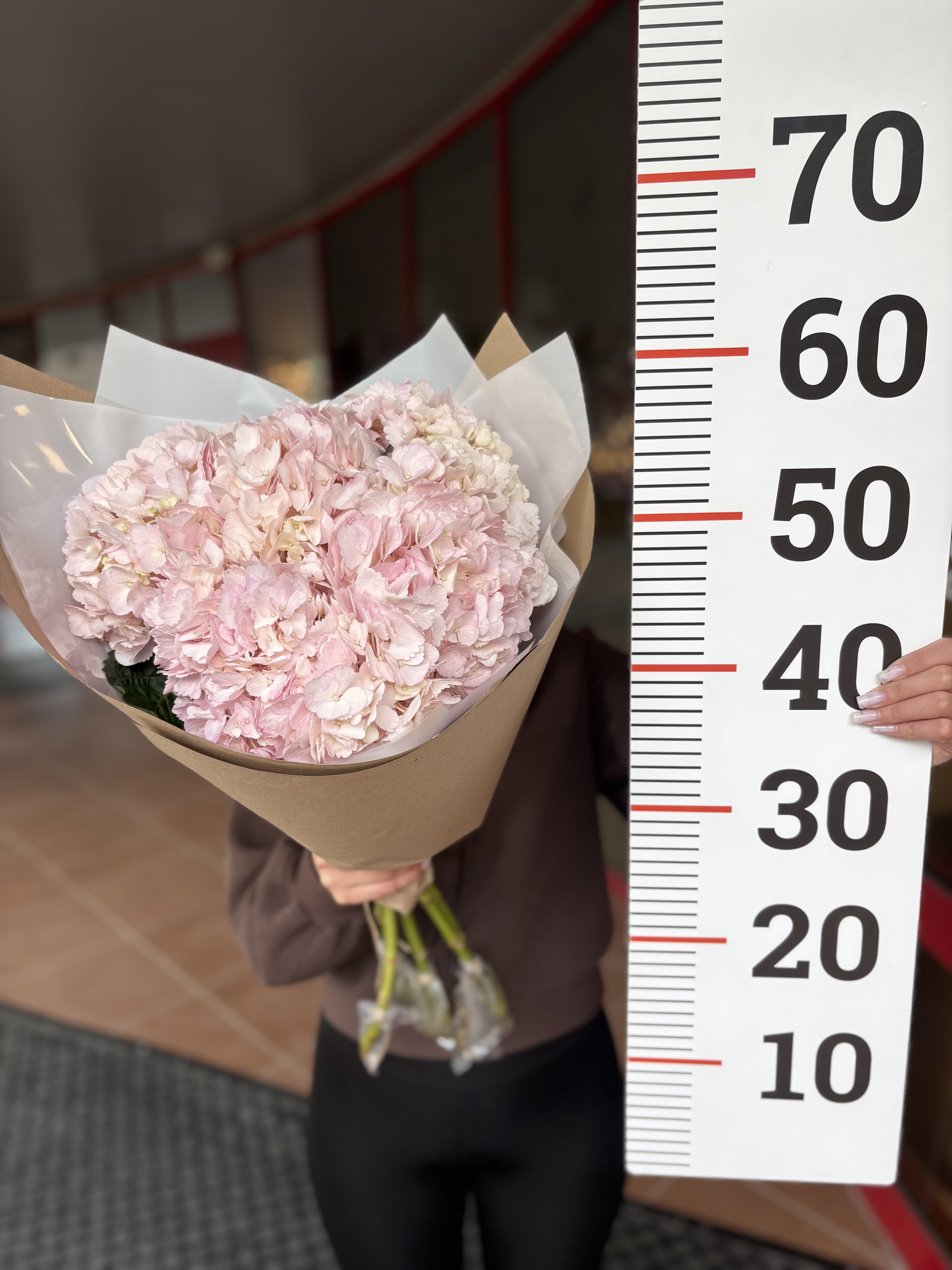 Букет из 5ти гортензий