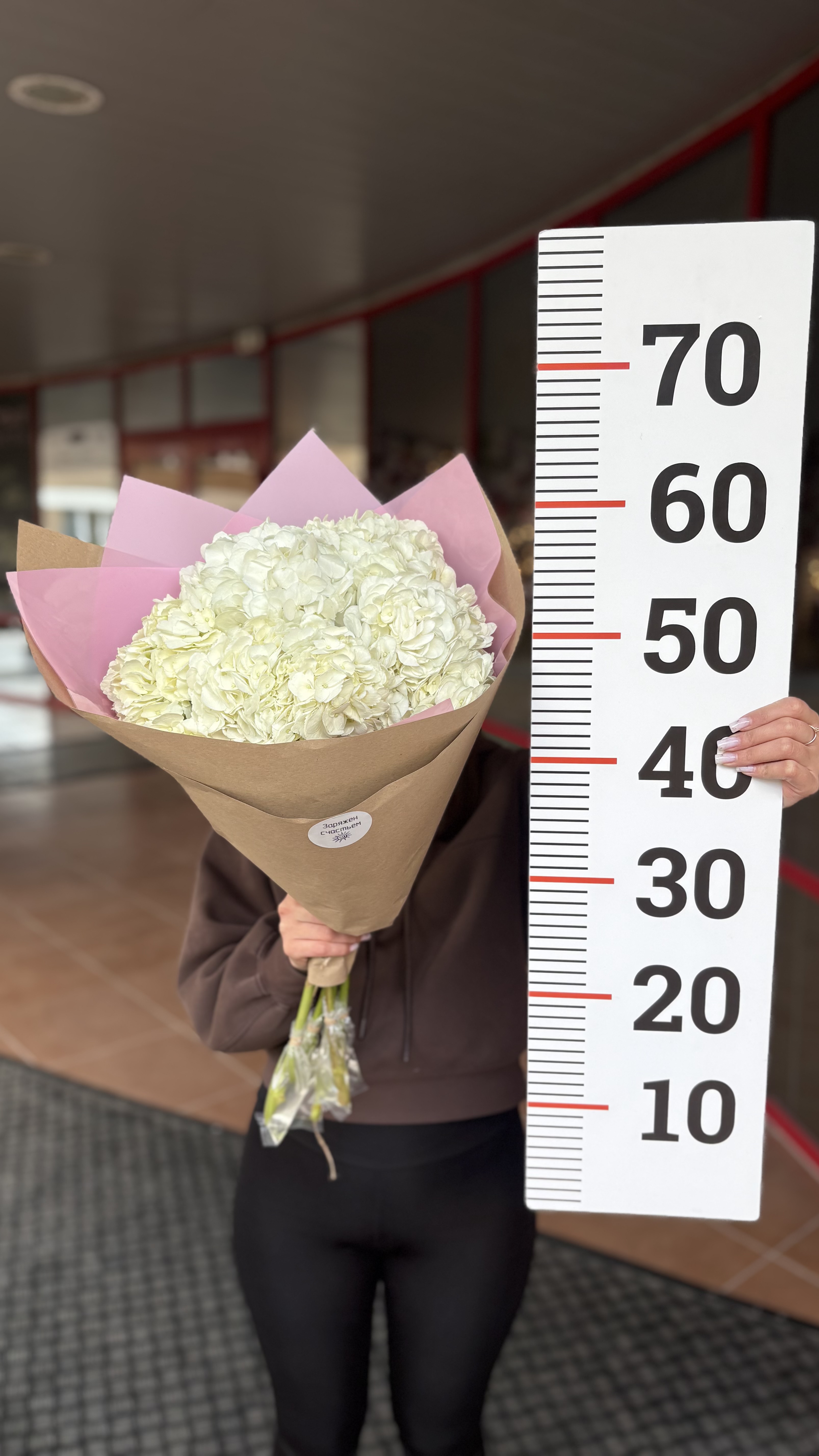 Букет из 5ти гортензий