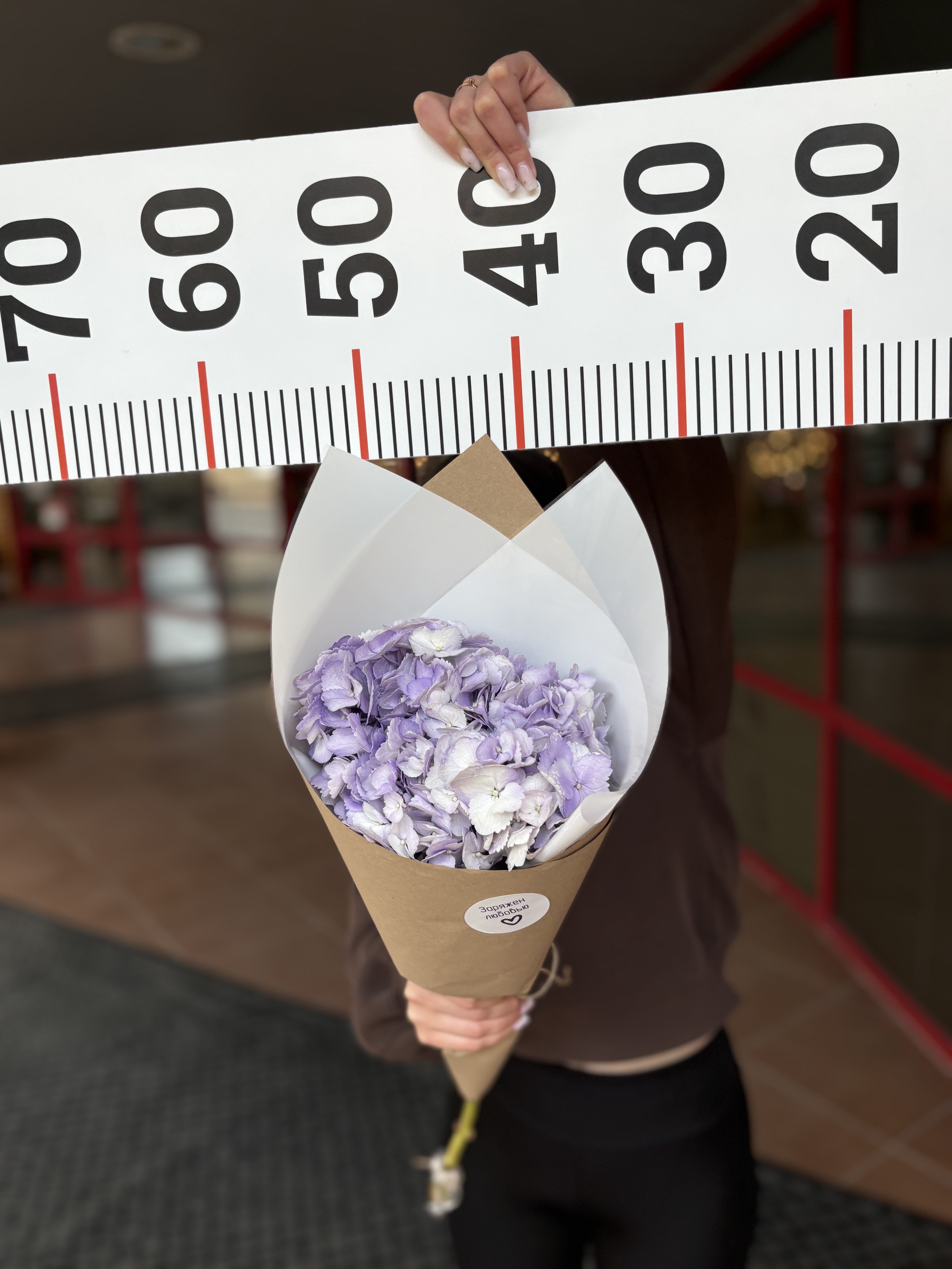 Букет из 1ой гортензии