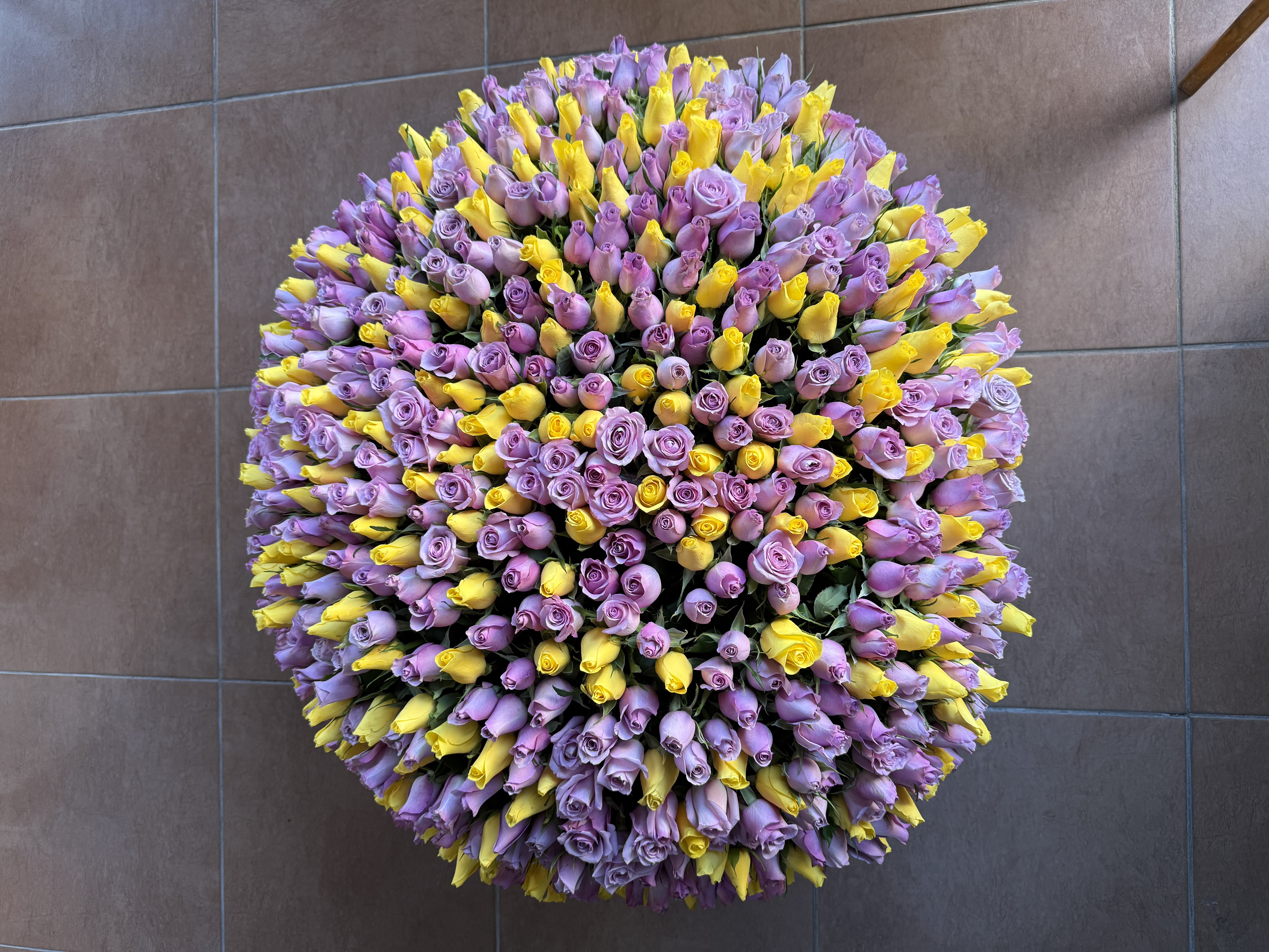 501 роза   в корзине