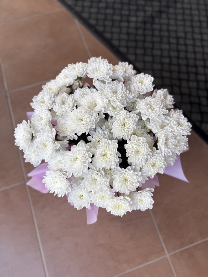 Коробка хризантем