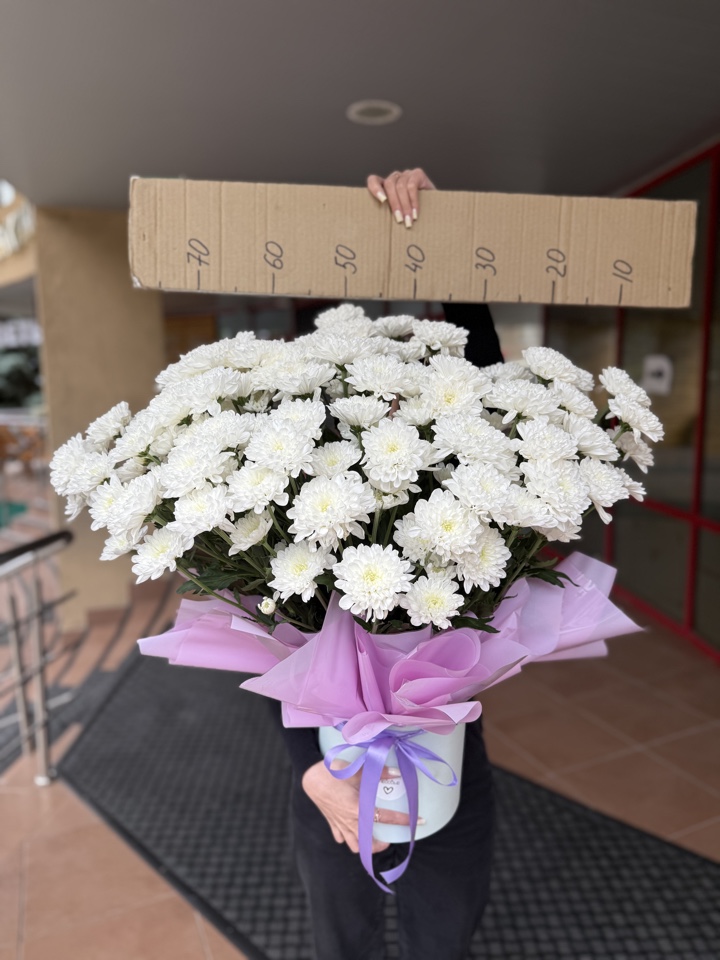 Коробка хризантем