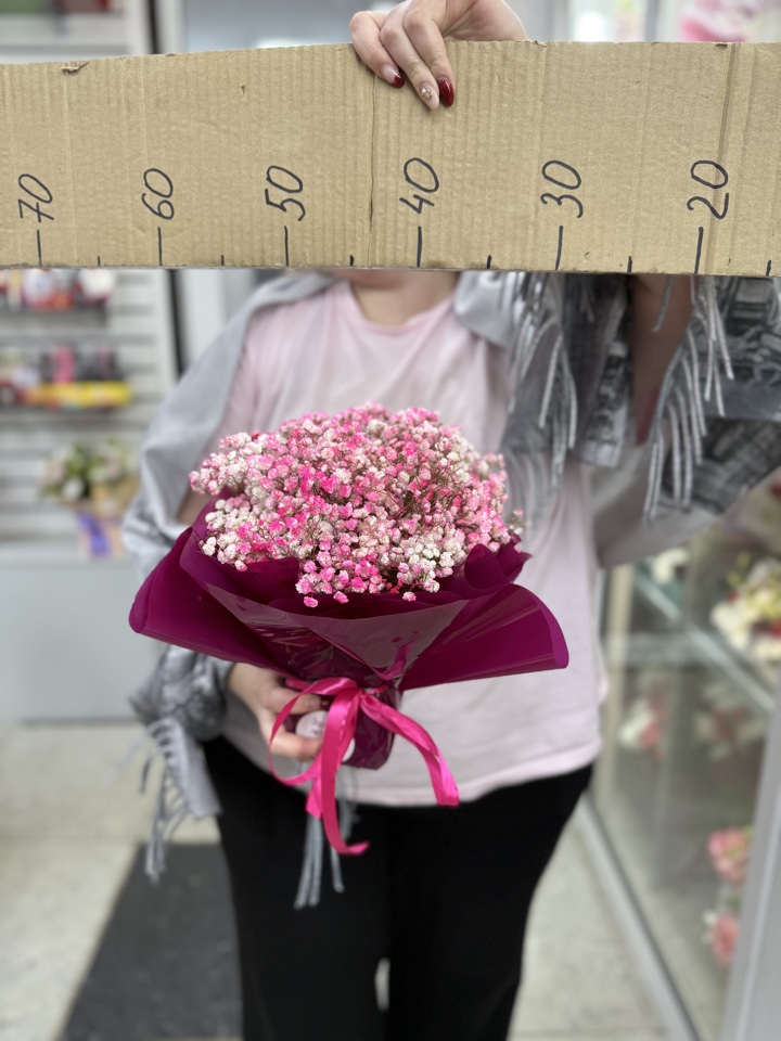 Коробка гипсофил