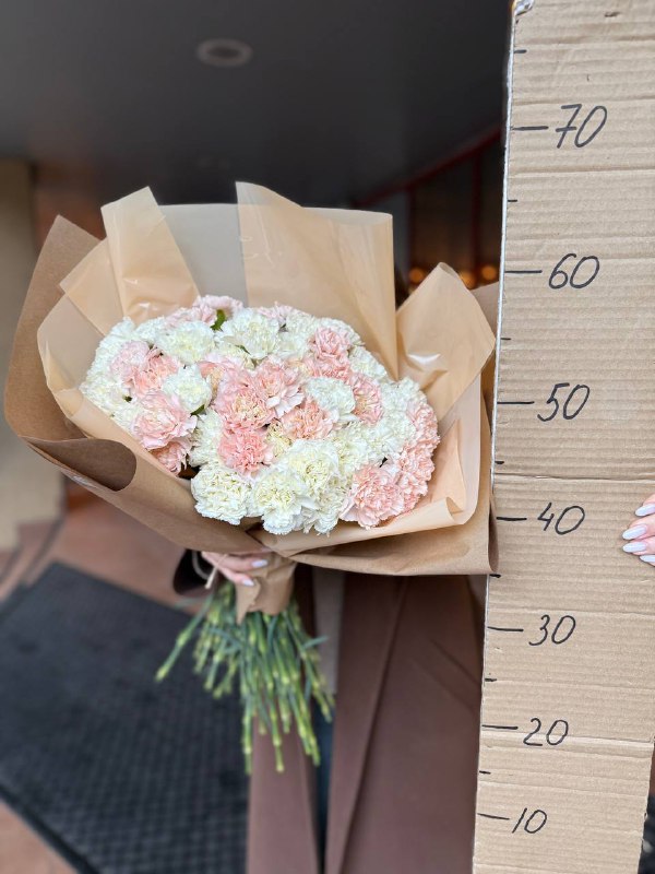 Букет 51 диантус