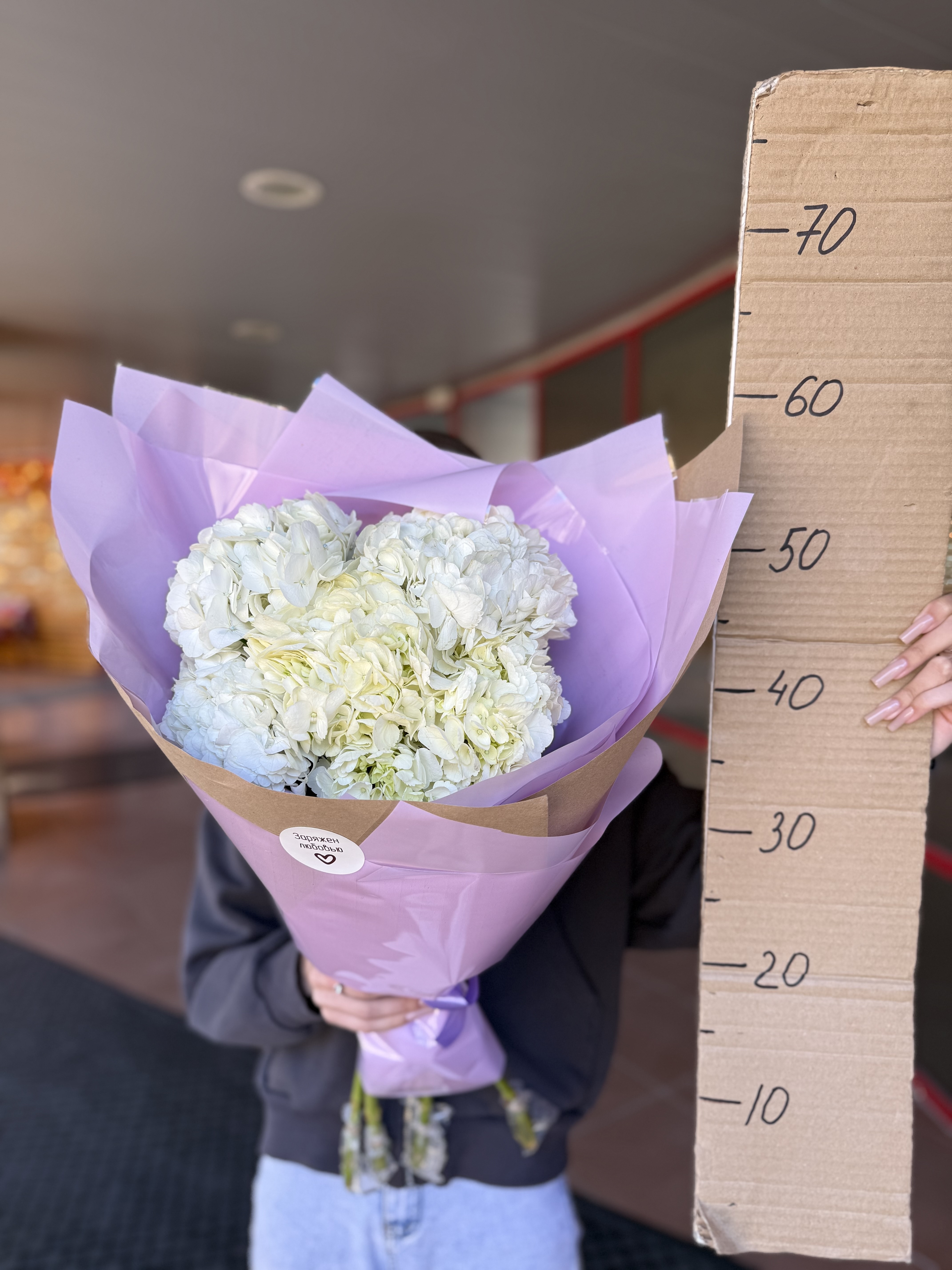 Букет из 5ти гортензий