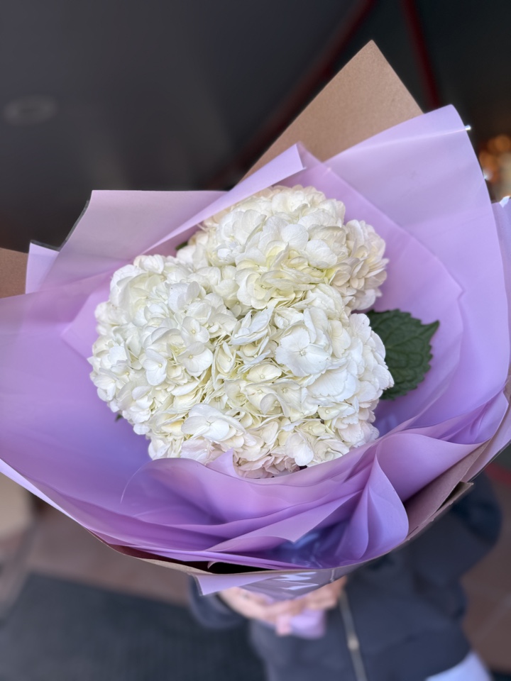 Букет из 3х гортензий