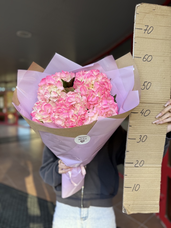 Букет из 5ти гортензий