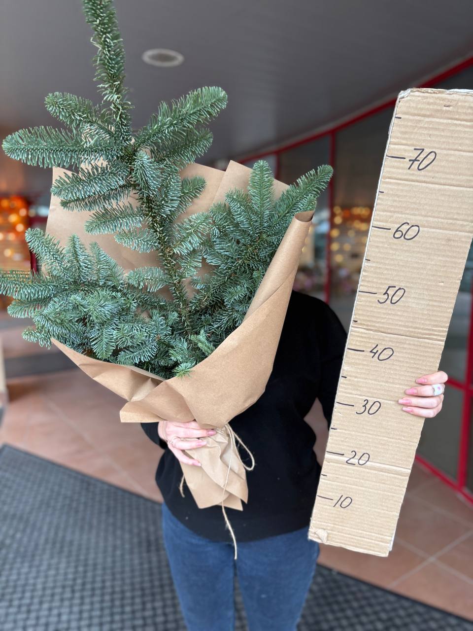 Нобилис в крафте