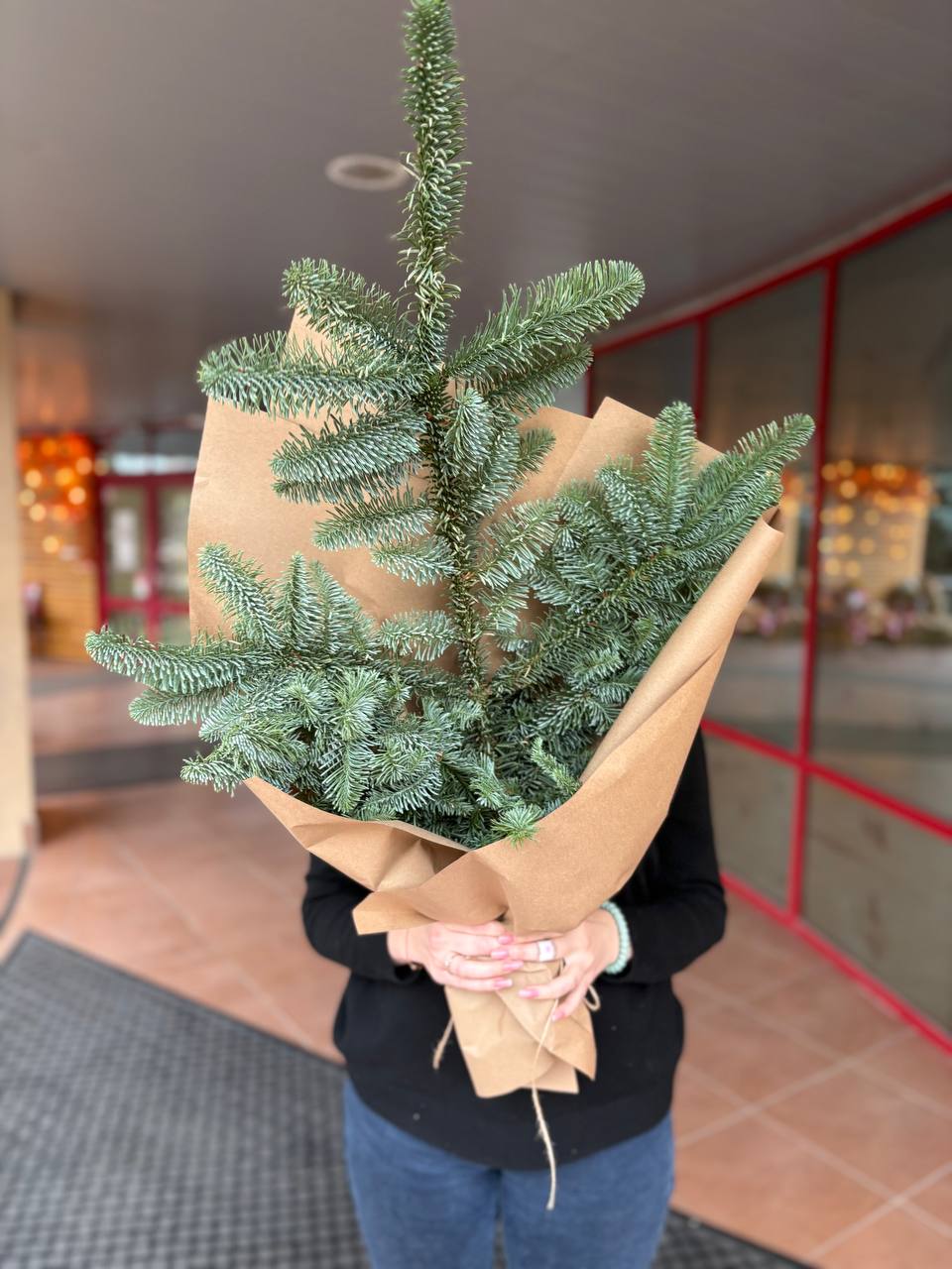 Нобилис в крафте