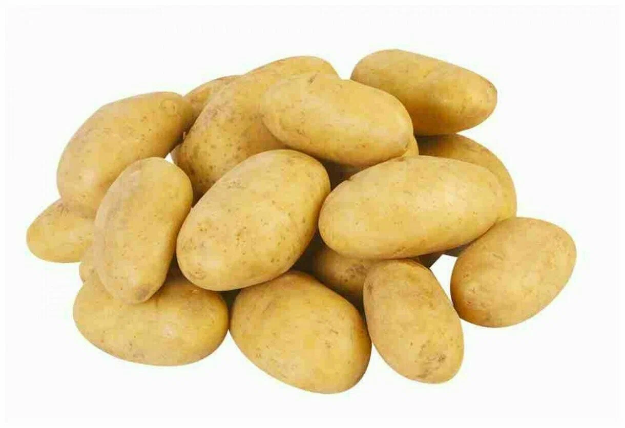 Картофель белый Египет