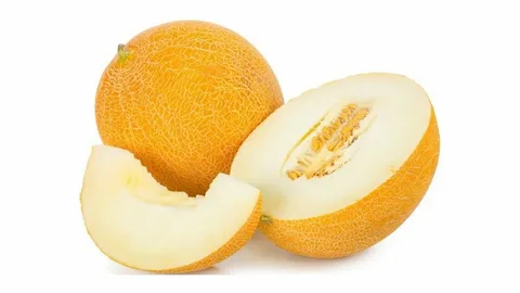Дыня Колхозница