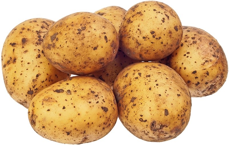 Картофель белый Гала