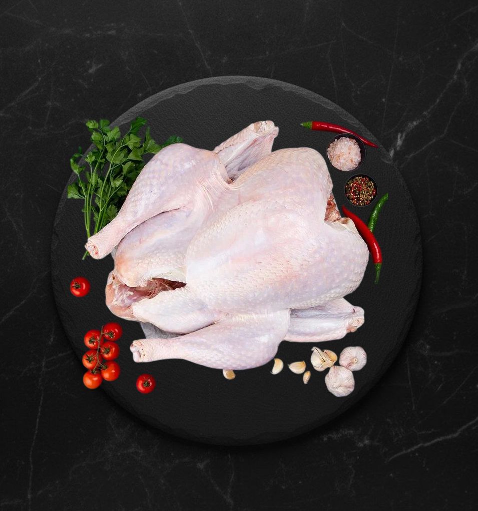 Индейка Тушка МБ