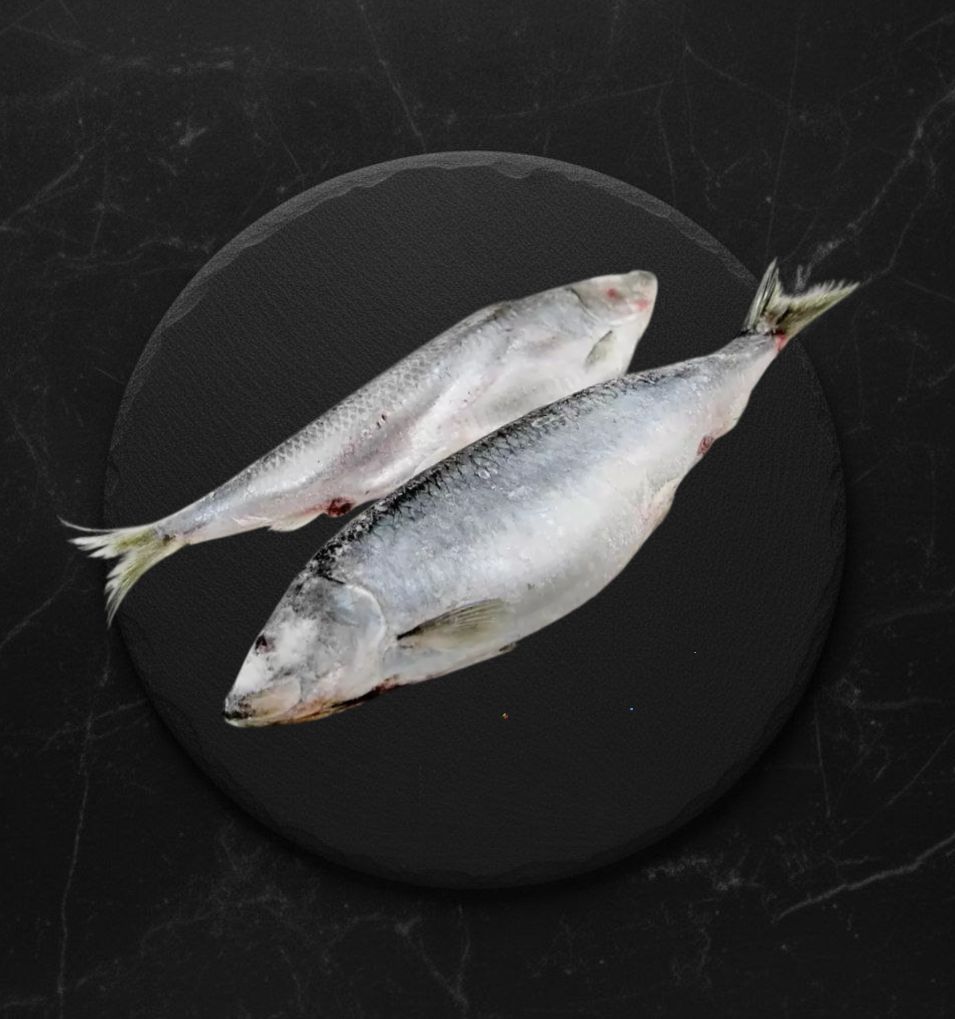 Сельдь С/м н/р