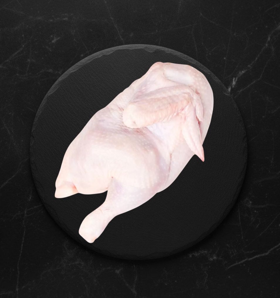 Курица Полутушка МБ