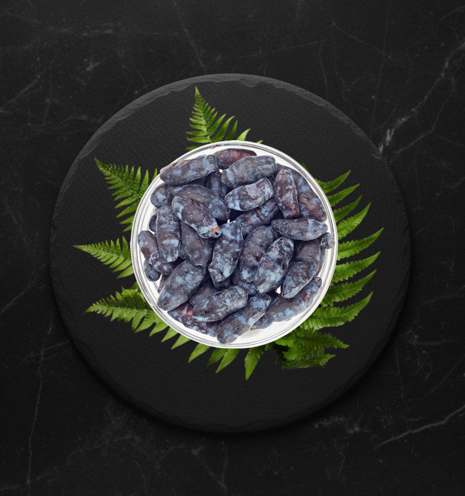 Жимолость зам. вес.