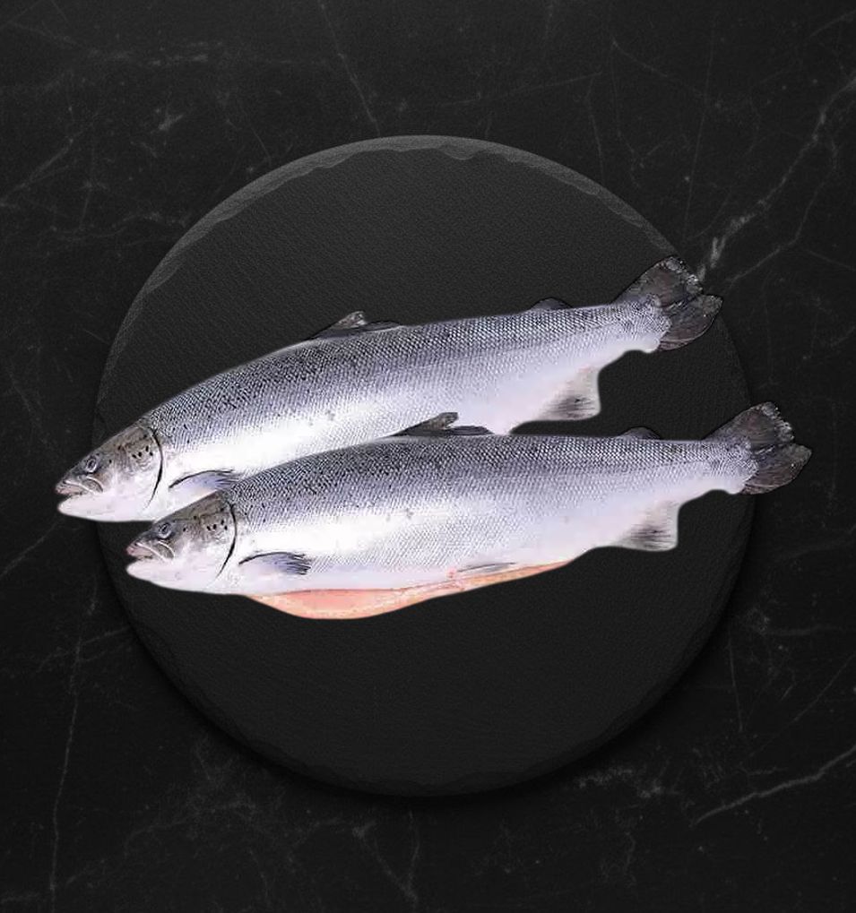 Горбуша С/м ПСГ