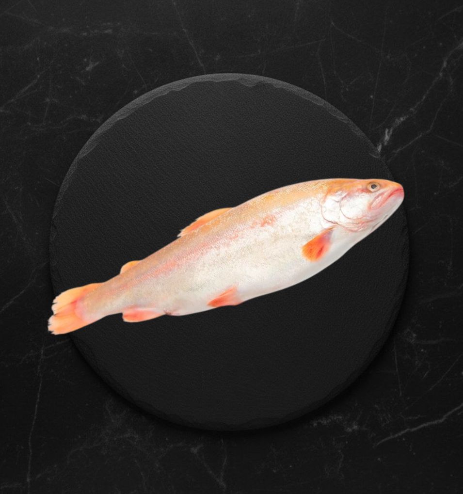 Форель Янтарная С/м Н/п С/г 800-1500