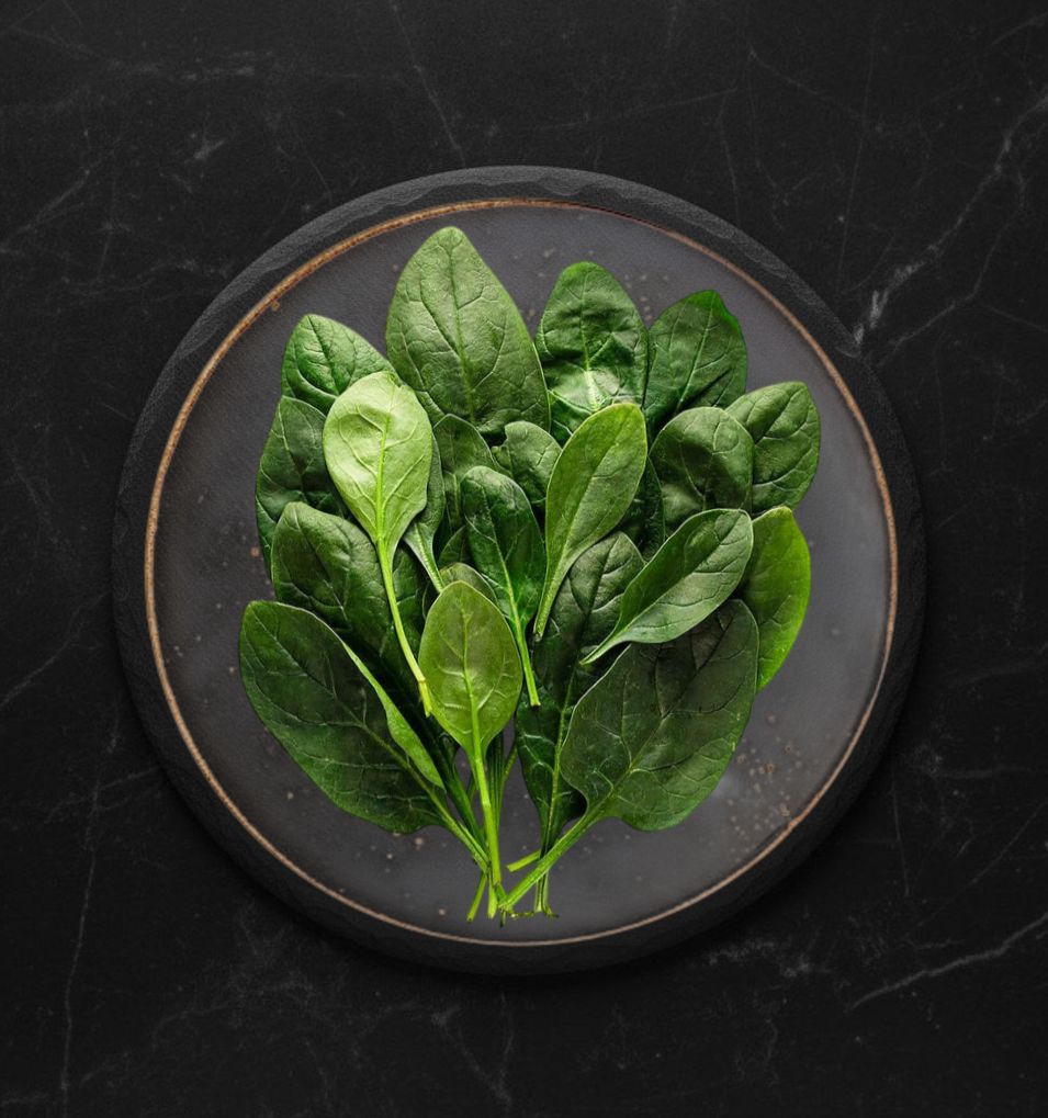 Овощи Салатные свежие "Шпинат свежий" 75г