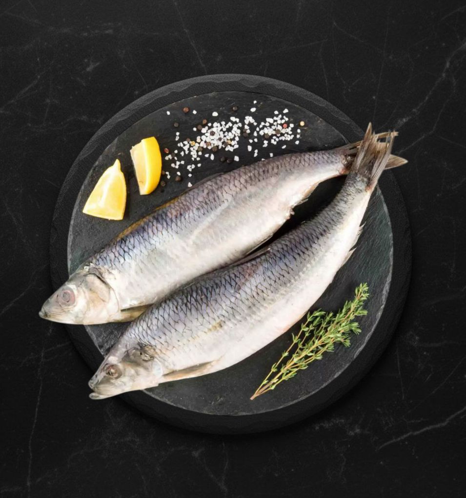 Сельдь с/с Олюторская Нептун