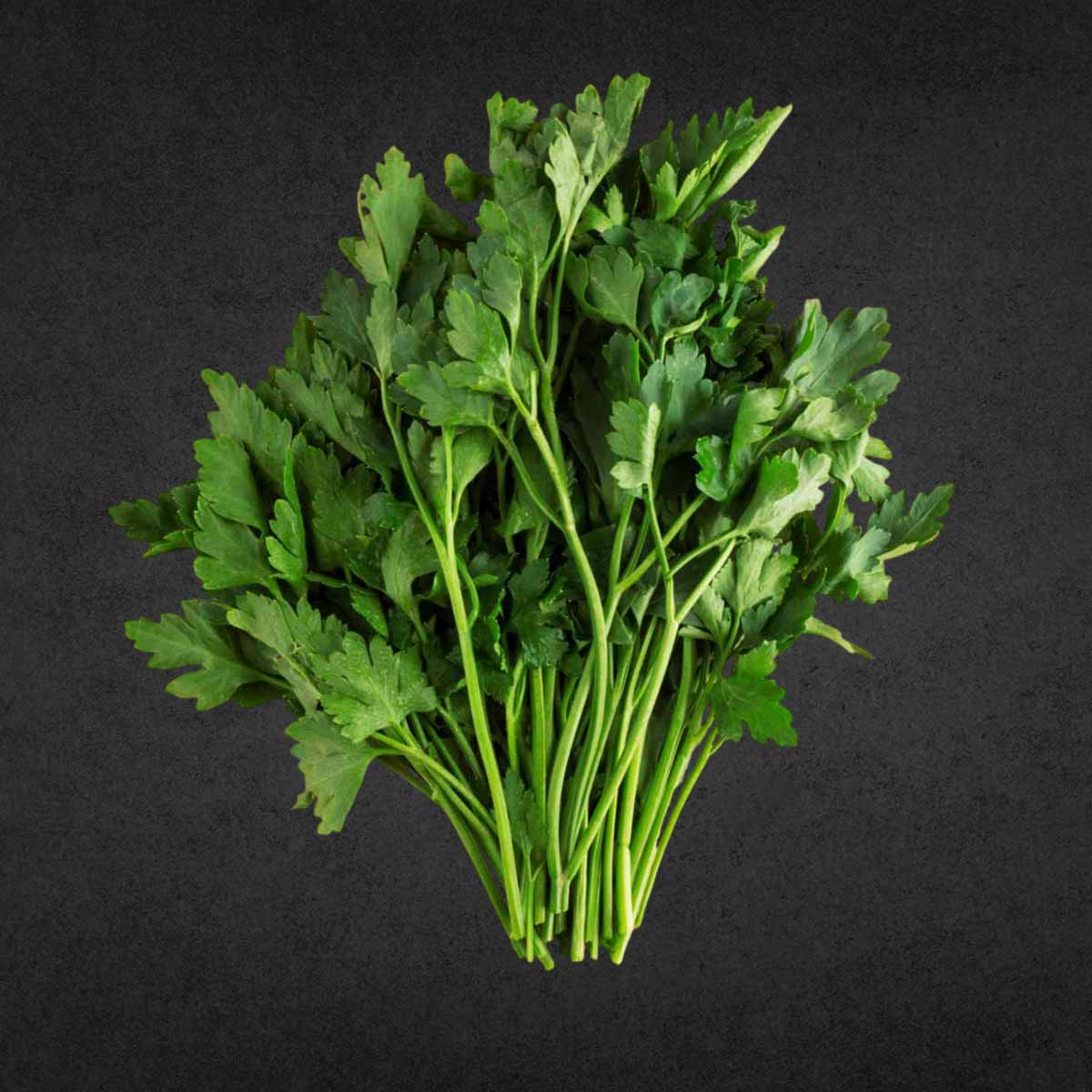 Петрушка свежая