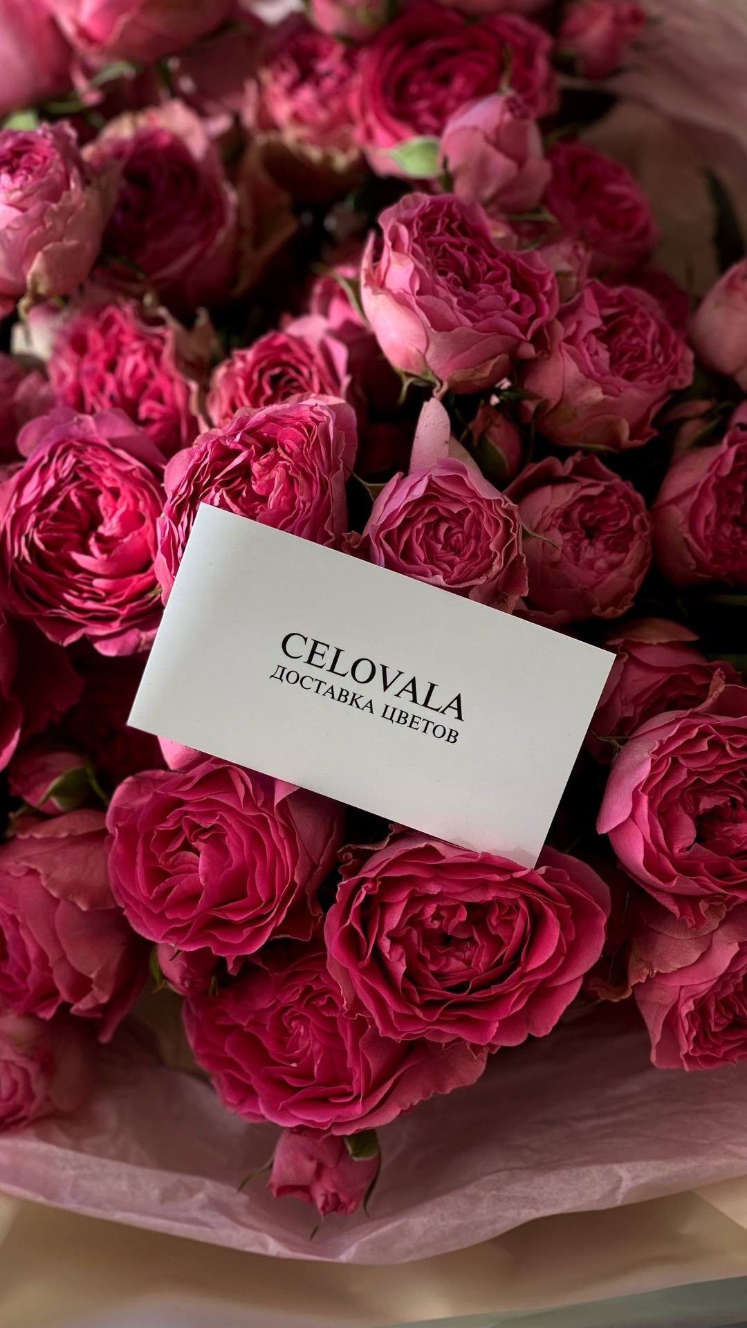 Монобукет из пионовидной кустовой розы