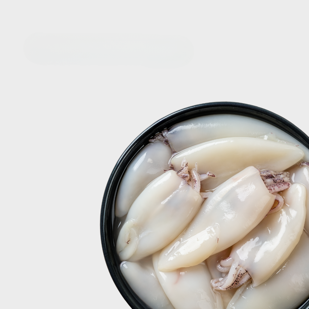 Кальмар