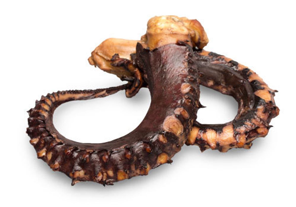 Щупальца осьминога холодного копчения