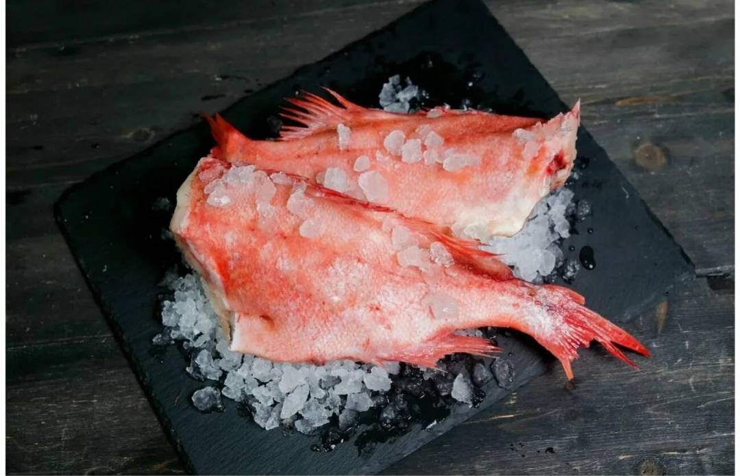 Окунь морской