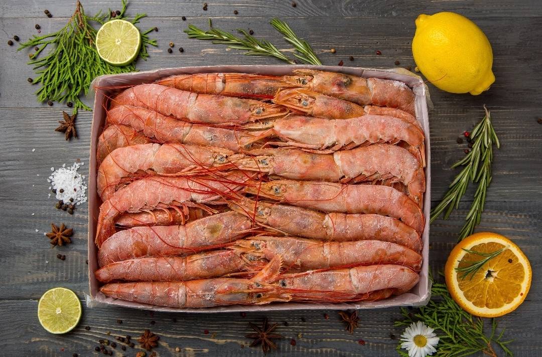 Лангустины L1 с головой