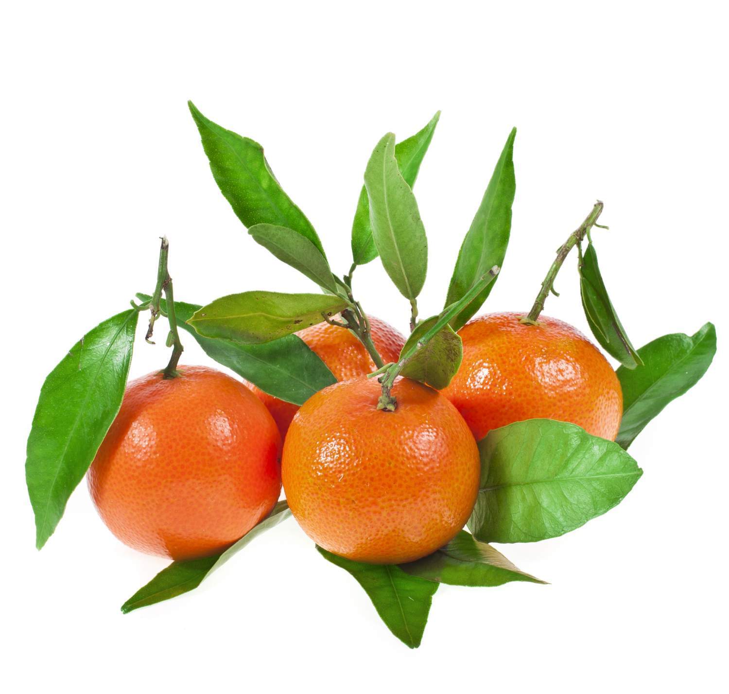 Мандарины с листьями