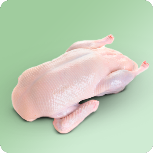 Утка и гусь