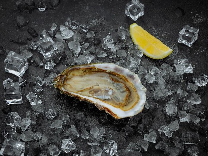 Устрица Императорская