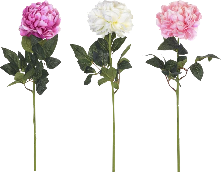 Цветы по штучно